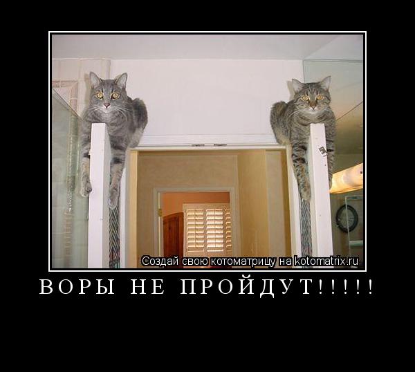 Котоматрица: Воры не пройдут!!!!! 
