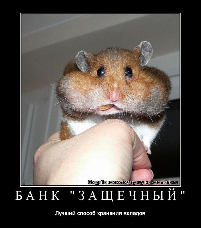 Котоматрица: Банк "Защечный" Лучший способ хранения вкладов
