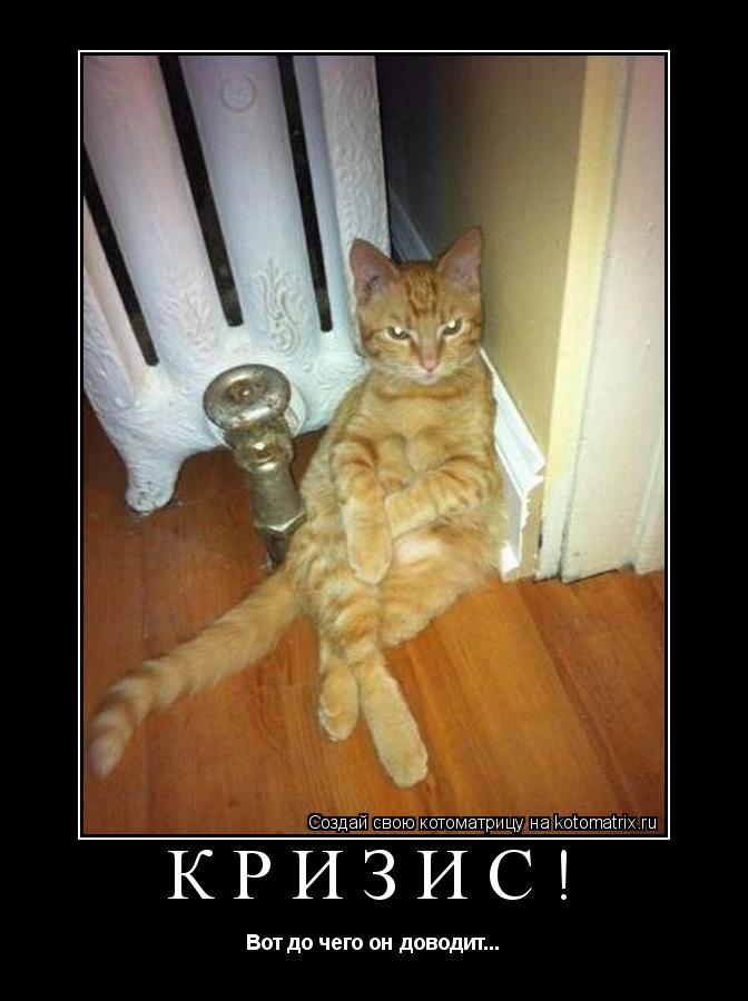 Котоматрица: КРИЗИС! Вот до чего он доводит...