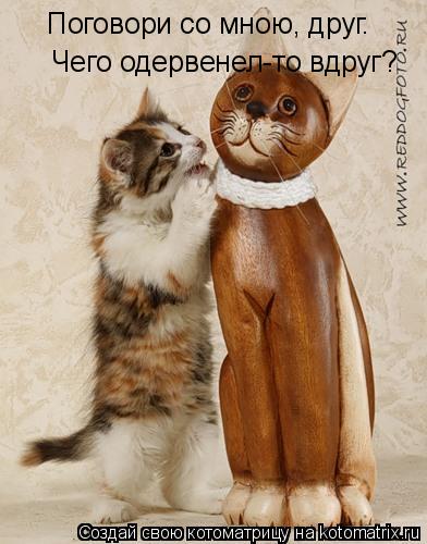 Поговори со мною, друг. Чего одервенел-то вдруг?... Котоматрица: Поговори со мною, друг. Чего одервенел-то вдруг?