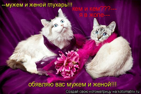 обявляю вас мужем и женой!!! кем и кем???--- --мужем и женой глухарь!!! я в жопе---... Котоматрица: обявляю вас мужем и женой!!! кем и кем???--- --мужем и женой глухарь!!! я в жопе---