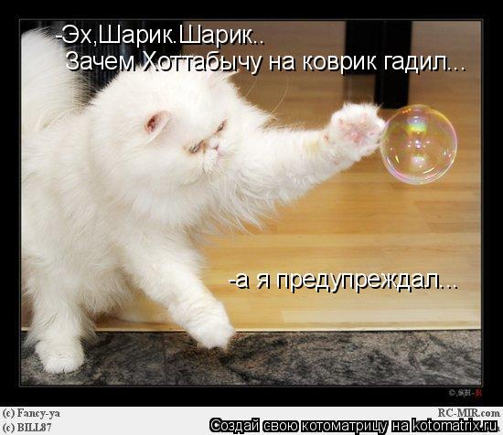 -Эх,Шарик.Шарик.. Зачем Хоттабычу на коврик гадил... -а я предупреждал...... Котоматрица: -Эх,Шарик.Шарик.. Зачем Хоттабычу на коврик гадил... -а я предупреждал...