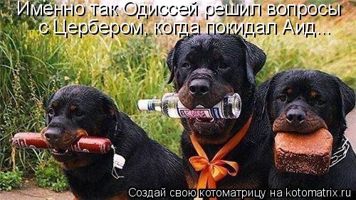 Именно так Одиссей решил вопросы с Цербером, когда покидал Аид...... Котоматрица: Именно так Одиссей решил вопросы с Цербером, когда покидал Аид...