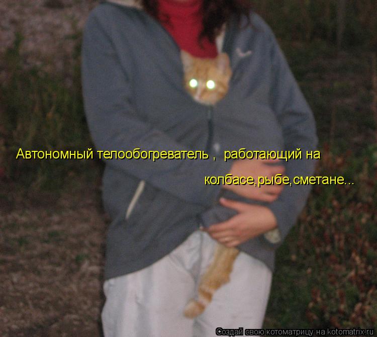 Автономный телообогреватель , работающий на колбасе,рыбе,сметане...... Котоматрица: Автономный телообогреватель , работающий на колбасе,рыбе,сметане...