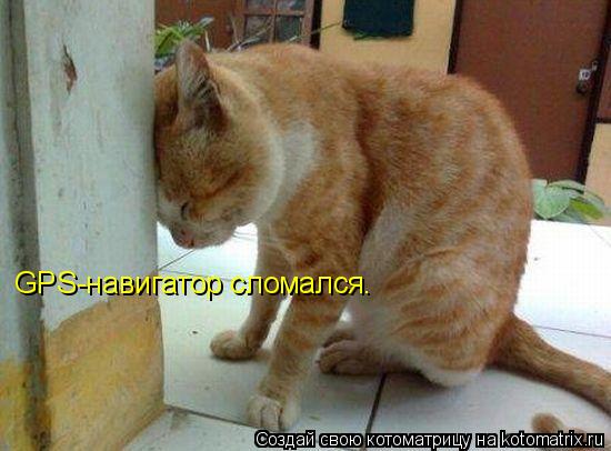 GPS-навигатор сломался.... Котоматрица: GPS-навигатор сломался.