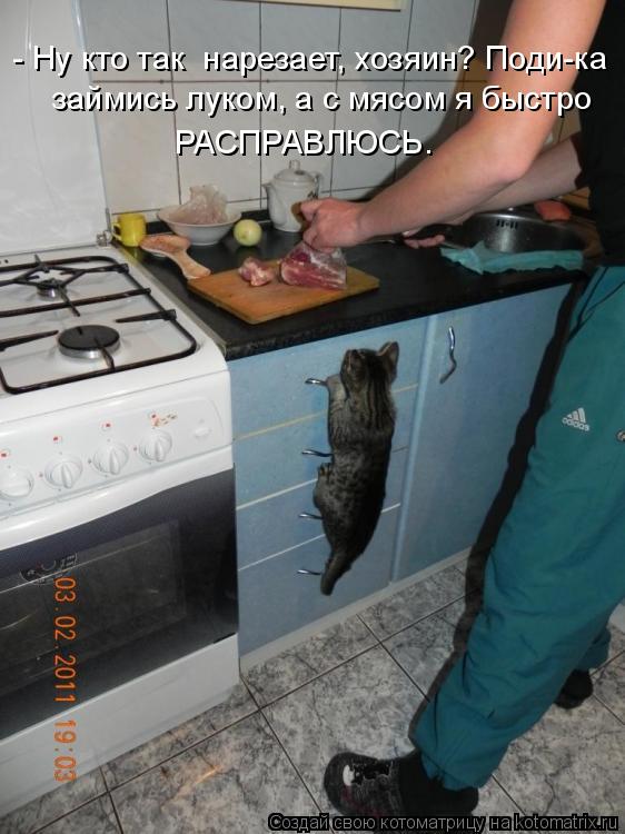 - Ну кто так нарезает, хозяин? Поди-ка займись луком, а с мясом я быстро РАСПРАВЛЮСЬ.... Котоматрица: - Ну кто так нарезает, хозяин? Поди-ка займись луком, а с мясом я быстро РАСПРАВЛЮСЬ.