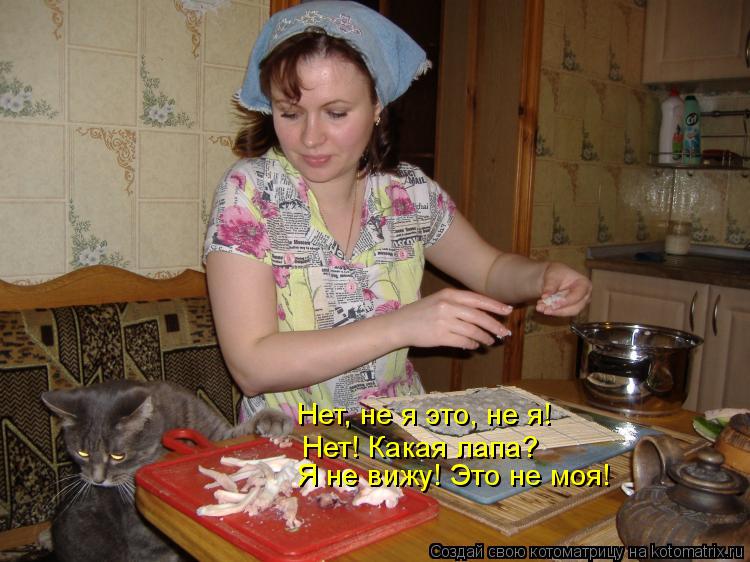 Нет, не я это, не я! Нет! Какая лапа? Я не вижу! Это не моя!... Котоматрица: Нет, не я это, не я! Нет! Какая лапа? Я не вижу! Это не моя!
