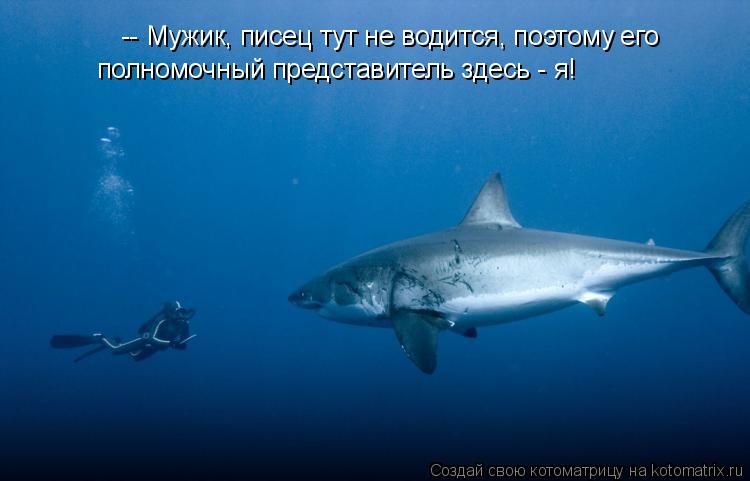 -- Мужик, писец тут не водится, поэтому его полномочный представитель здесь - я!... Котоматрица: -- Мужик, писец тут не водится, поэтому его полномочный представитель здесь - я!
