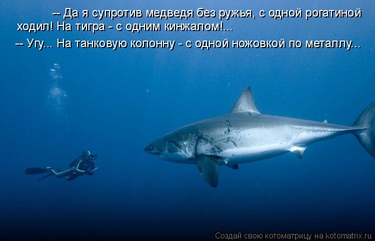 -- Да я супротив медведя без ружья, с одной рогатиной ходил! На тигра - с одним кинжалом!... -- Угу.... Котоматрица: -- Да я супротив медведя без ружья, с одной рогатиной ходил! На тигра - с одним кинжалом!... -- Угу... На танковую колонну - с одной ножовкой по мет