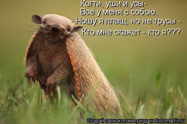 Кто мне скажет - кто я??? Когти, уши и усы- Всё у меня с собою, Ношу я плащ, но не трусы -... Котоматрица: Кто мне скажет - кто я??? Когти, уши и усы- Всё у меня с собою, Ношу я плащ, но не трусы -