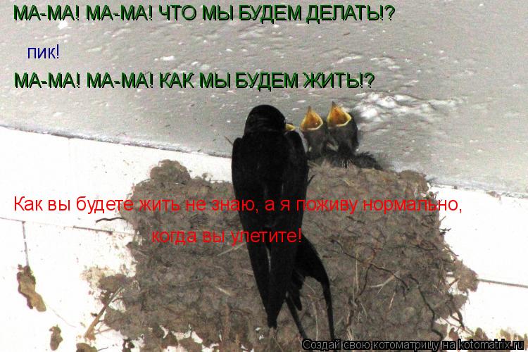 пик! МА-МА! МА-МА! КАК МЫ БУДЕМ ЖИТЬ!? МА-МА! МА-МА! ЧТО МЫ БУДЕМ ДЕЛАТЬ!? Как вы будете жить не знаю... Котоматрица: пик! МА-МА! МА-МА! КАК МЫ БУДЕМ ЖИТЬ!? МА-МА! МА-МА! ЧТО МЫ БУДЕМ ДЕЛАТЬ!? Как вы будете жить не знаю, а я поживу нормально, когда вы улетите!