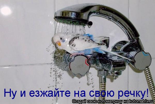 Ну и езжайте на свою речку!... Котоматрица: Ну и езжайте на свою речку!