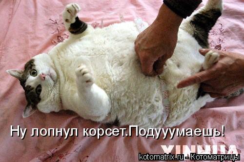Ну лопнул корсет.Подууумаешь!... Котоматрица: Ну лопнул корсет.Подууумаешь!