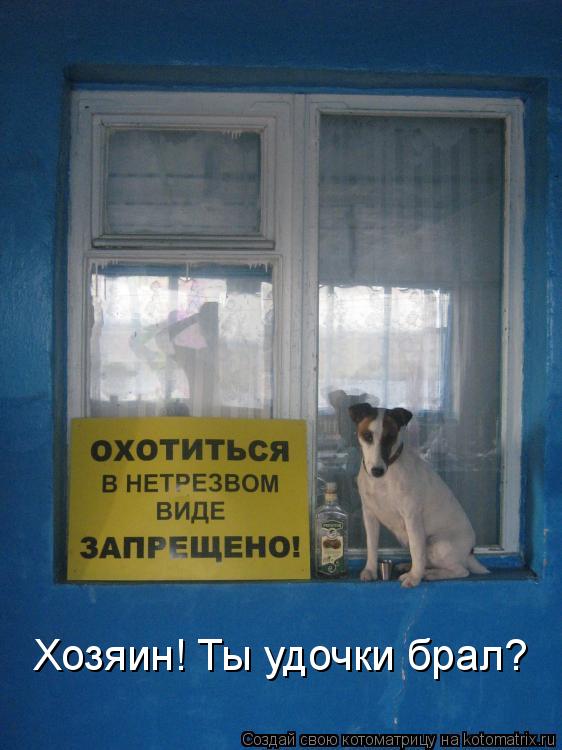 Хозяин! Ты удочки брал?... Котоматрица: Хозяин! Ты удочки брал?