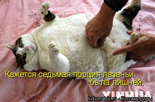 Кажется седьмая порция лазаньи была лишней...... Котоматрица: Кажется седьмая порция лазаньи была лишней...