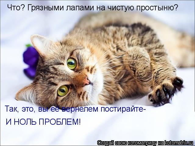 Что? Грязными лапами на чистую простыню? Так, это, вы её вернелем постирайте- И НОЛЬ ПРОБЛЕМ!... Котоматрица: Что? Грязными лапами на чистую простыню? Так, это, вы её вернелем постирайте- И НОЛЬ ПРОБЛЕМ!