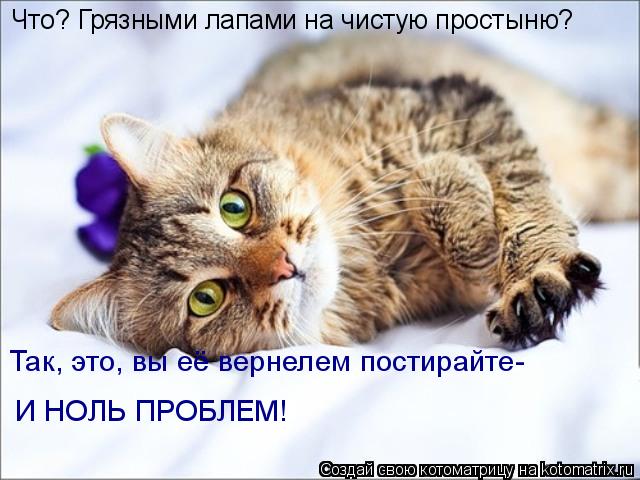 Что? Грязными лапами на чистую простыню? Так, это, вы её вернелем постирайте- И НОЛЬ ПРОБЛЕМ!... Котоматрица: Что? Грязными лапами на чистую простыню? Так, это, вы её вернелем постирайте- И НОЛЬ ПРОБЛЕМ!