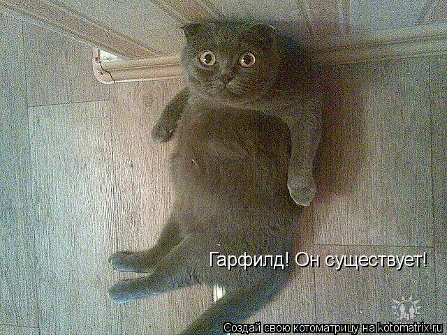 Гарфилд! Он существует!... Котоматрица: Гарфилд! Он существует!