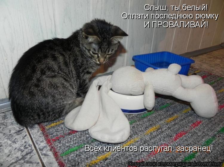 Слыш, ты,белый! Оплати последнюю рюмку И ПРОВАЛИВАЙ! Всех клиентов распугал, засранец!... Котоматрица: Слыш, ты,белый! Оплати последнюю рюмку И ПРОВАЛИВАЙ! Всех клиентов распугал, засранец!