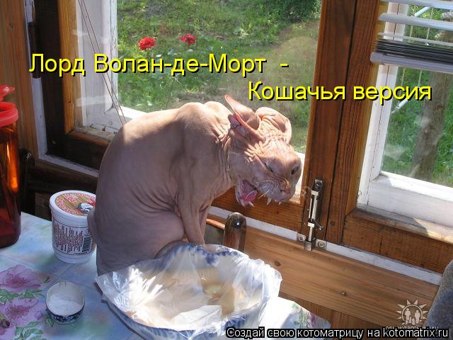 Лорд Волан-де-Морт - Кошачья версия... Котоматрица: Лорд Волан-де-Морт - Кошачья версия