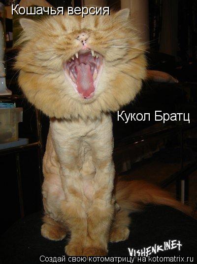 Кошачья версия Кукол Братц... Котоматрица: Кошачья версия Кукол Братц
