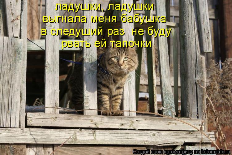 ладушки, ладушки выгнала меня бабушка в следуший раз не буду рвать ей тапочки... Котоматрица: ладушки, ладушки выгнала меня бабушка в следуший раз не буду рвать ей тапочки