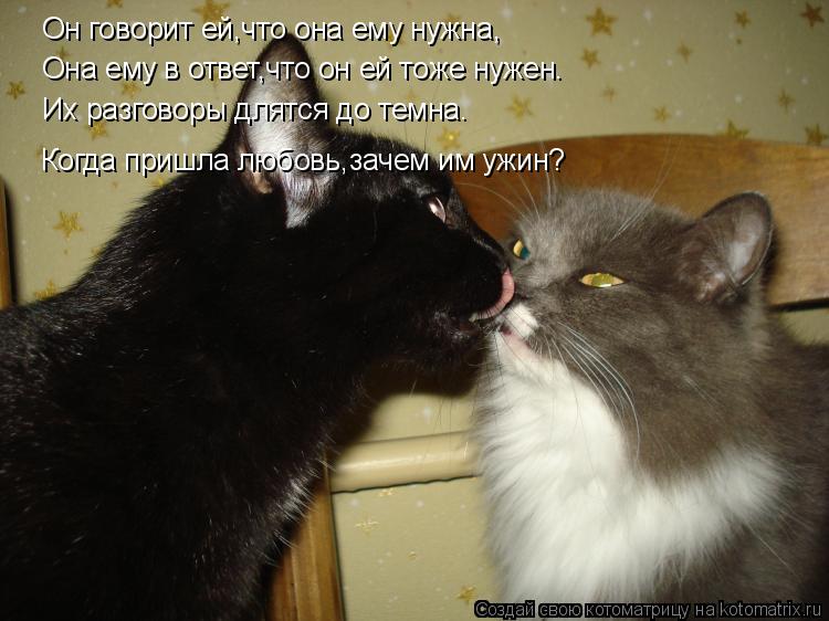Он говорит ей,что она ему нужна, Она ему в ответ,что он ей тоже нужен. Их разговоры длятся до темна. ... Котоматрица: Он говорит ей,что она ему нужна, Она ему в ответ,что он ей тоже нужен. Их разговоры длятся до темна. Когда пришла любовь,зачем им ужин?