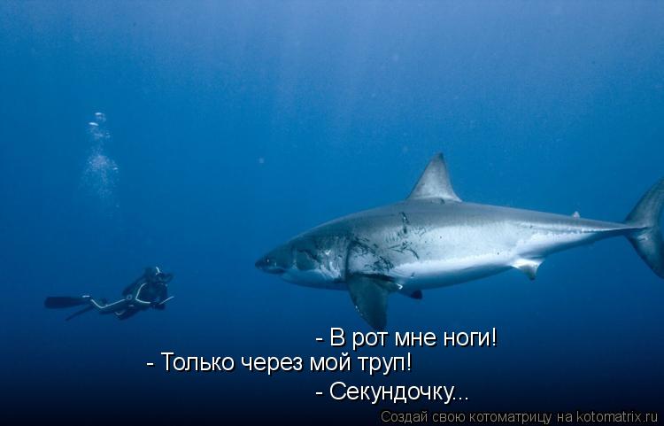 - В рот мне ноги! - Только через мой труп! - Секундочку...... Котоматрица: - В рот мне ноги! - Только через мой труп! - Секундочку...