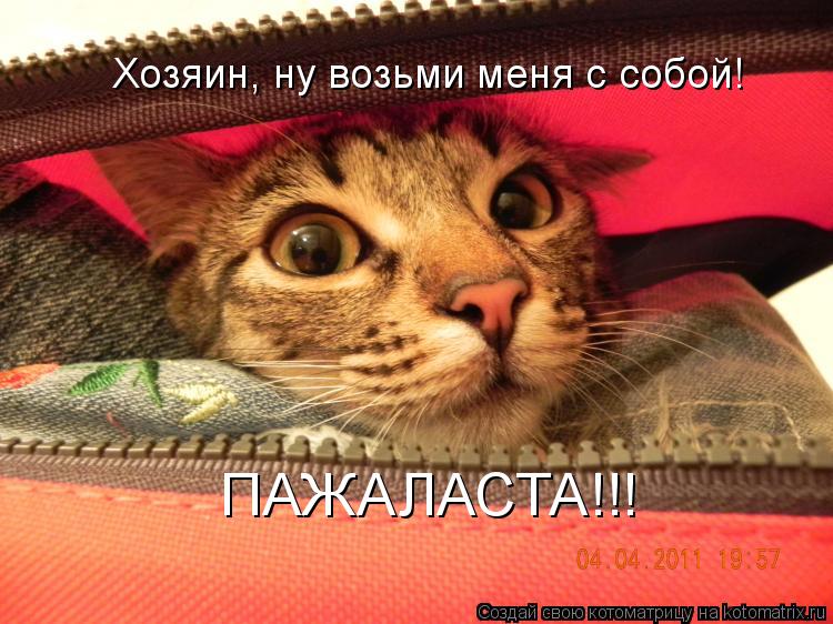Хозяин, ну возьми меня с собой! ПАЖАЛАСТА!!!... Котоматрица: Хозяин, ну возьми меня с собой! ПАЖАЛАСТА!!!