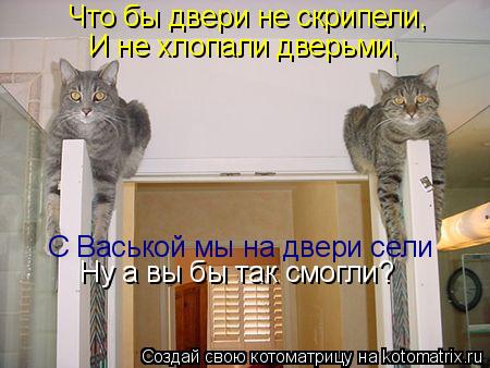 Что бы двери не скрипели, И не хлопали дверьми, С Васькой мы на двери сели Ну а вы бы так смогли?... Котоматрица: Что бы двери не скрипели, И не хлопали дверьми, С Васькой мы на двери сели Ну а вы бы так смогли?