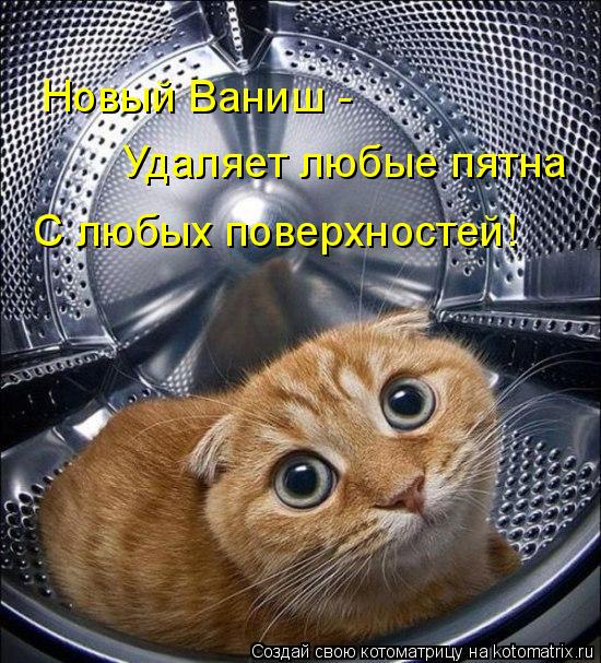 Новый Ваниш - Удаляет любые пятна С любых поверхностей!... Котоматрица: Новый Ваниш - Удаляет любые пятна С любых поверхностей!