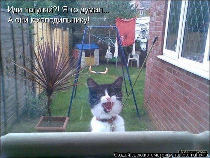 Иди погуляй?! Я то думал.... А они к холодильнику!... Котоматрица: Иди погуляй?! Я то думал.... А они к холодильнику!