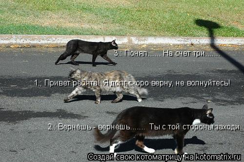 1.: Привет ребята! Я долг скоро верну, не волнуйтесь! 3.: Понял...... На счет три....... 2.: Вернёшь... Котоматрица: 1.: Привет ребята! Я долг скоро верну, не волнуйтесь! 3.: Понял...... На счет три....... 2.: Вернёшь - вернёшь....... Ты с той стороны заходи.....