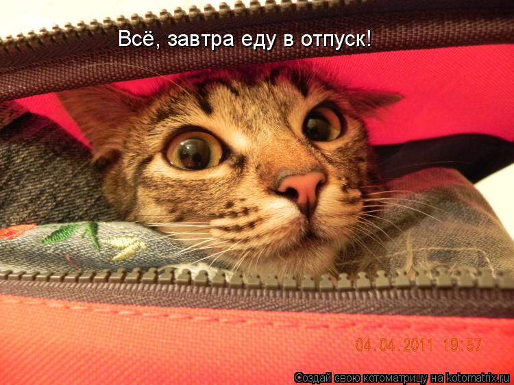 Всё, завтра еду в отпуск!... Котоматрица: Всё, завтра еду в отпуск!