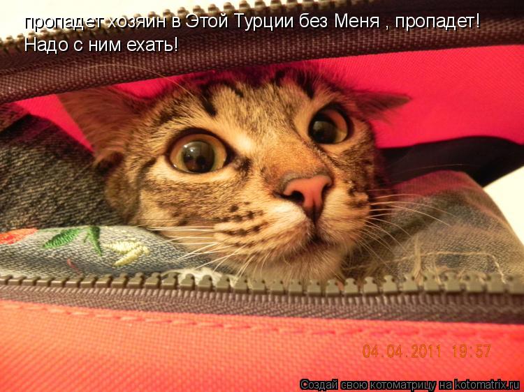 пропадет хозяин в Этой Турции без Меня , пропадет! Надо с ним ехать!... Котоматрица: пропадет хозяин в Этой Турции без Меня , пропадет! Надо с ним ехать!