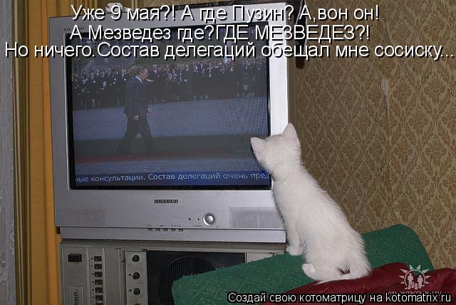 Уже 9 мая?! А где Пузин? А,вон он! А Мезведез где?ГДЕ МЕЗВЕДЕЗ?! Но ничего.Состав делегаций обещал м... Котоматрица: Уже 9 мая?! А где Пузин? А,вон он! А Мезведез где?ГДЕ МЕЗВЕДЕЗ?! Но ничего.Состав делегаций обещал мне сосиску...