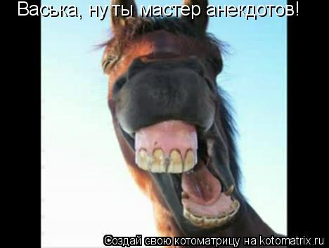 Васька, ну ты мастер анекдотов!... Котоматрица: Васька, ну ты мастер анекдотов!