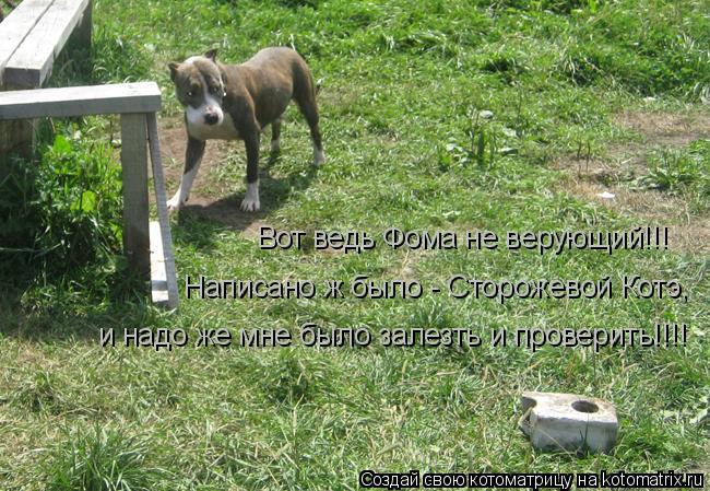 Вот ведь Фома не верующий!!! Написано ж было - Сторожевой Котэ, и надо же мне было залезть и проверит... Котоматрица: Вот ведь Фома не верующий!!! Написано ж было - Сторожевой Котэ, и надо же мне было залезть и проверить!!!!