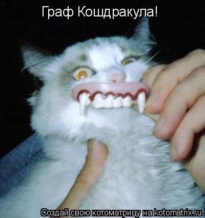 Граф Кошдракула!... Котоматрица: Граф Кошдракула!