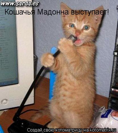 Кошачья Мадонна выступает!... Котоматрица: Кошачья Мадонна выступает!
