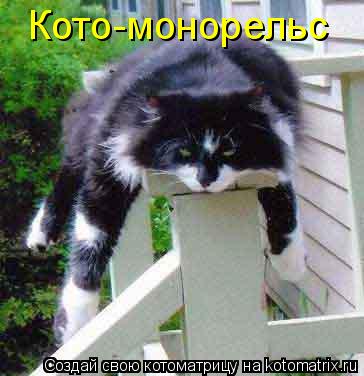 Кото-монорельс... Котоматрица: Кото-монорельс