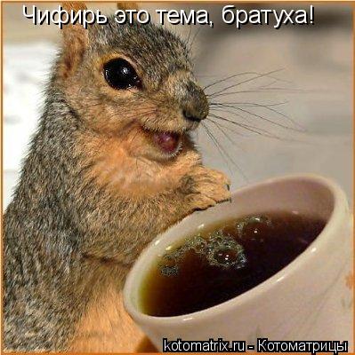 Чифирь это тема, братуха!... Котоматрица: Чифирь это тема, братуха!