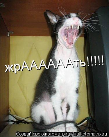 жрААААААть!!!!!... Котоматрица: жрААААААть!!!!!