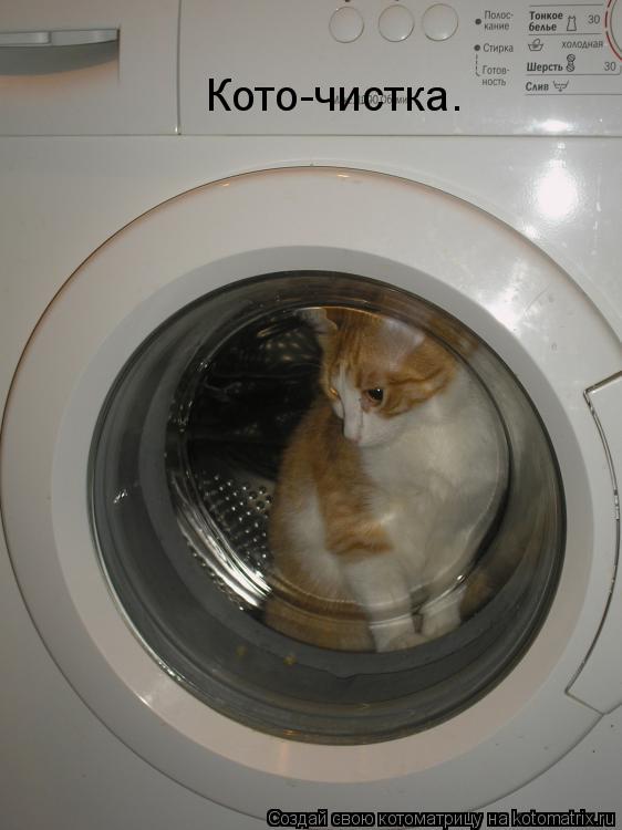 Кото-чистка.... Котоматрица: Кото-чистка.