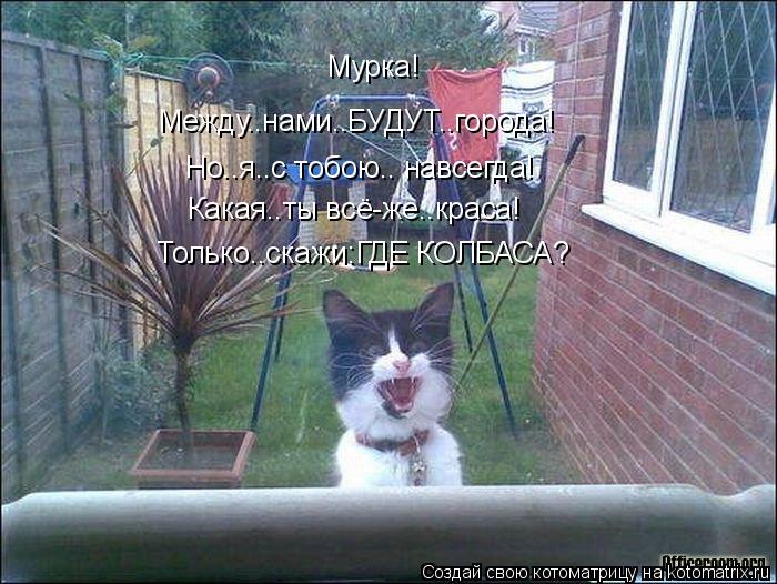 Мурка! Между..нами..БУДУТ..города! Но..я..с тобою.. навсегда! Какая..ты всё-же..краса! Только..скажи:... Котоматрица: Мурка! Между..нами..БУДУТ..города! Но..я..с тобою.. навсегда! Какая..ты всё-же..краса! Только..скажи:ГДЕ КОЛБАСА?