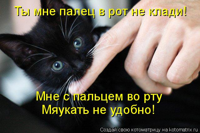 Ты мне палец в рот не клади! Мне с пальцем во рту Мяукать не удобно!... Котоматрица: Ты мне палец в рот не клади! Мне с пальцем во рту Мяукать не удобно!