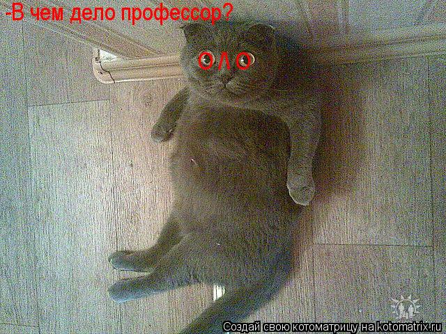 О /\ О -В чем дело профессор?... Котоматрица: О /\ О -В чем дело профессор?