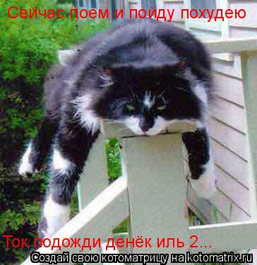 Сейчас поем и пойду похудею Ток подожди денёк иль 2...... Котоматрица: Сейчас поем и пойду похудею Ток подожди денёк иль 2...