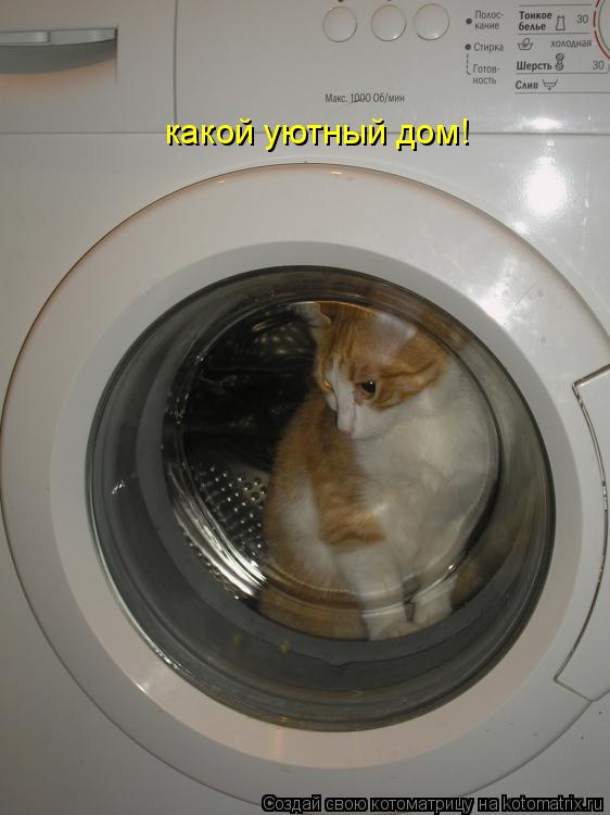 какой уютный дом!... Котоматрица: какой уютный дом!