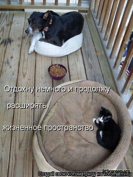 Отдохну немного и продолжу расширять жизненное пространство... Котоматрица: Отдохну немного и продолжу расширять жизненное пространство